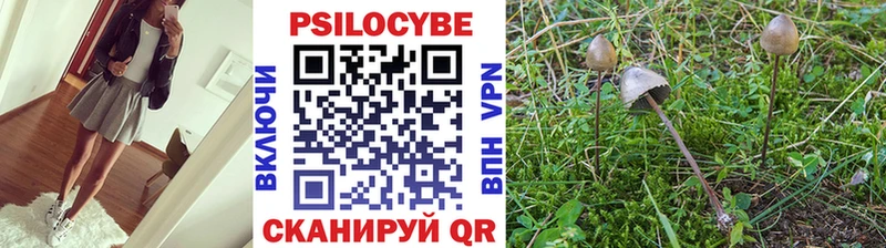 Галлюциногенные грибы мицелий  дарк нет какой сайт  Калининец  KRAKEN онион 